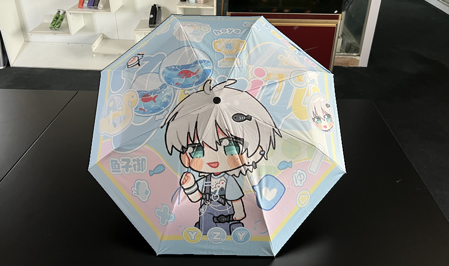 TikTok influencers case